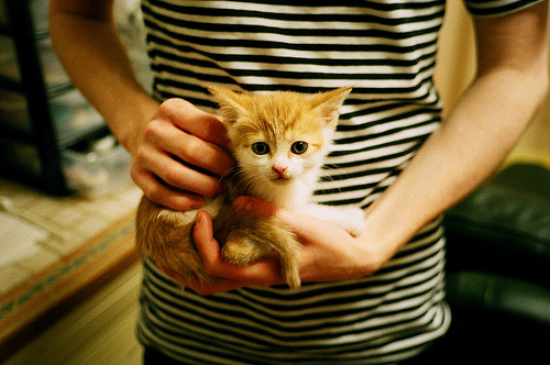 爱游戏中国官方登录入口网站-_飞盘运动嘉年华：趣味合作的极致体验_，飞盘运动比赛