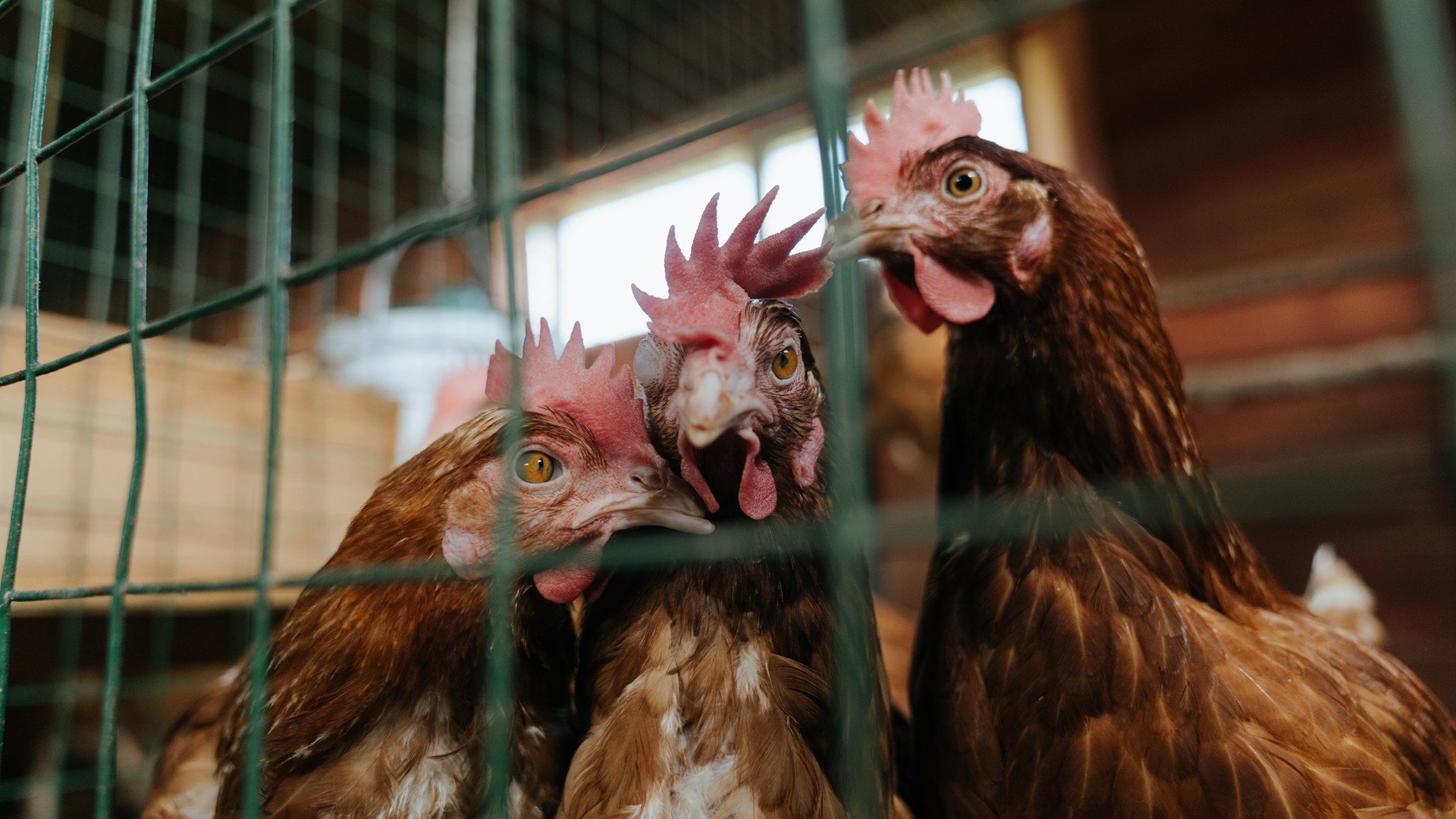 爱游戏娱乐网址-_马刺核心状态稳定，引发期待_，马刺队核心